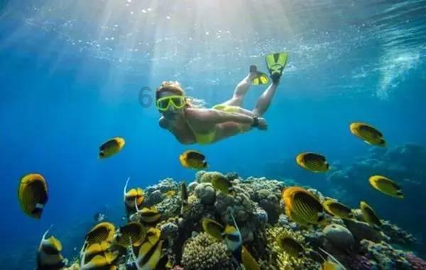 探索种植毛竹应该如何施肥?需要注意什么?,加入知识星球平台共赢学习